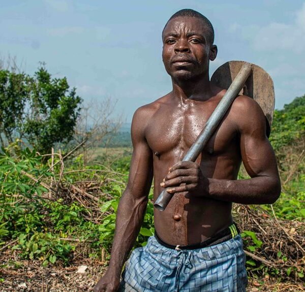 Strengthen Your Growth 642939173 Digital Tools