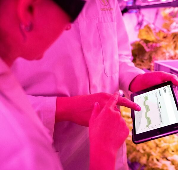 Maximize Your Growth 120936634 Digital Tools