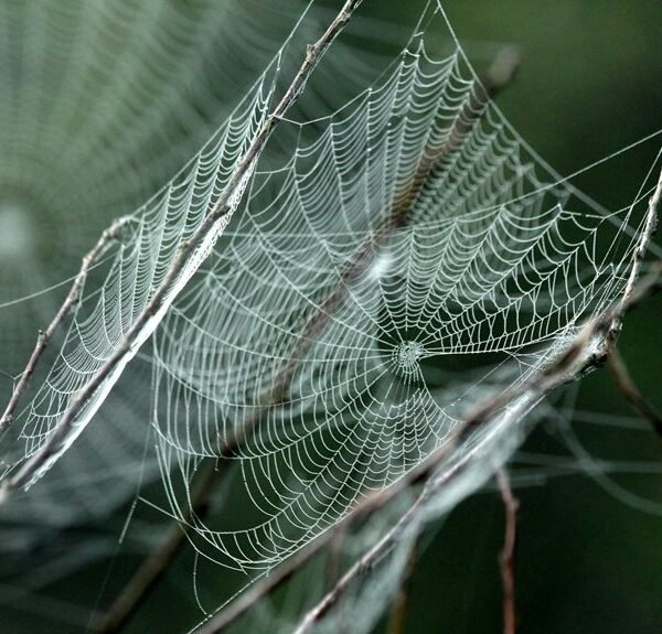 creative cloud network solution